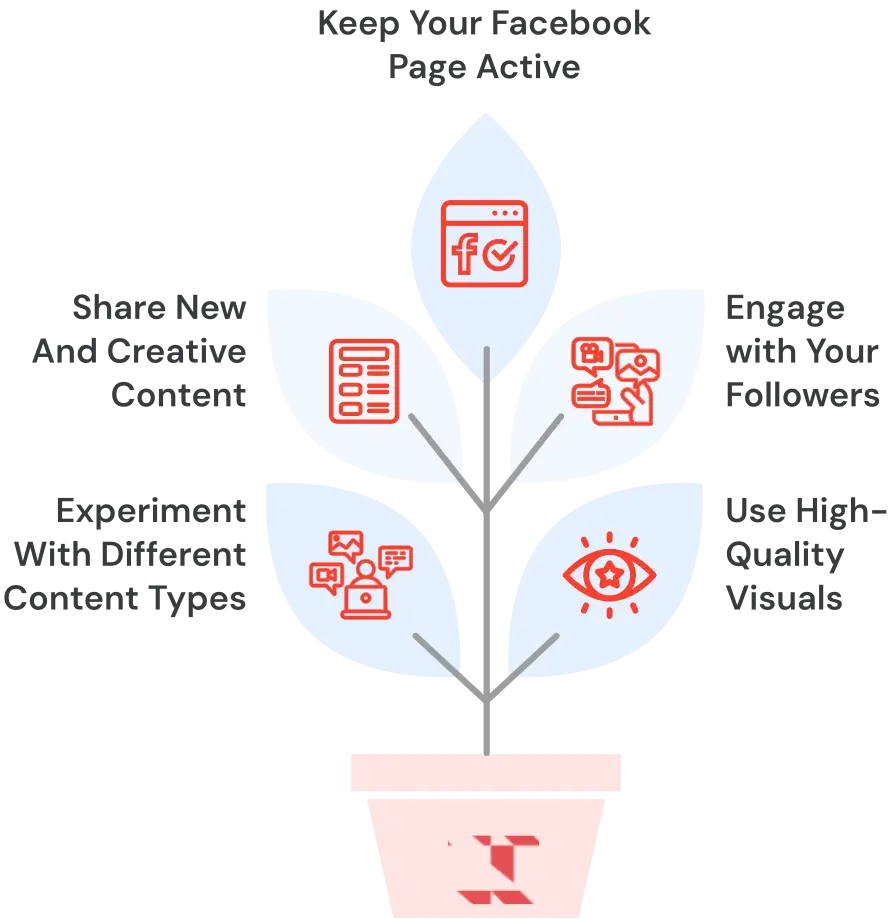 Best Organic Strategies To Grow On Facebook